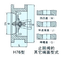 H76H雙瓣式止回閥